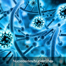 Nucleosides and Nucleotides